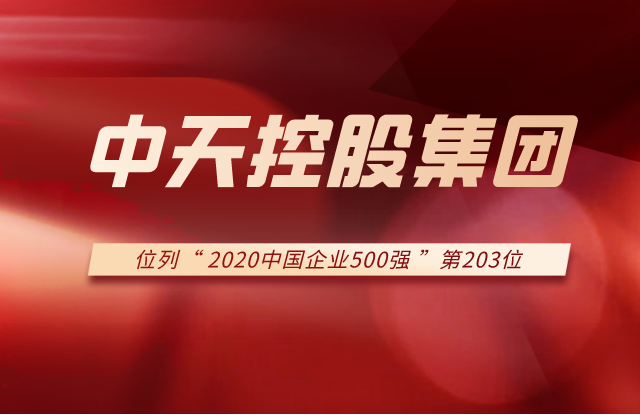 918搏天堂集团列2020中国企业500强第203位！